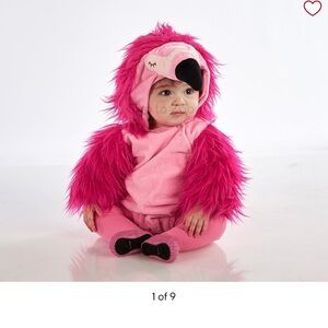 Pottery Barn kids Baby flamingo costume